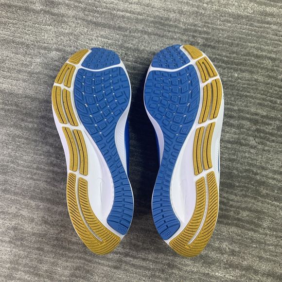 chargers pegasus 38